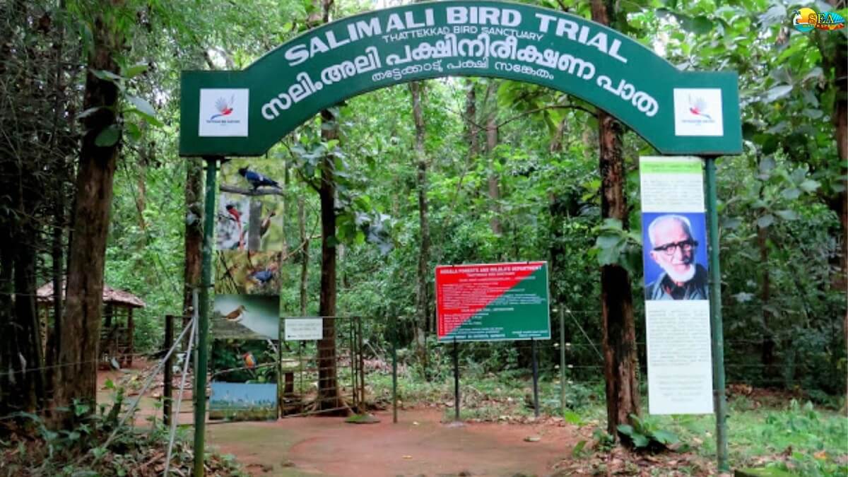 Santuario de Aves de Thattekad (Salim Ali Bird Sanctuary)
