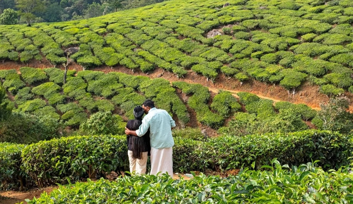 Consejos prácticos para una luna de miel perfecta en Kerala