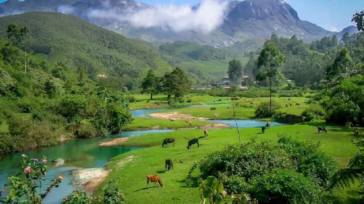 Consejos finales para sur de la India en enero de 2026