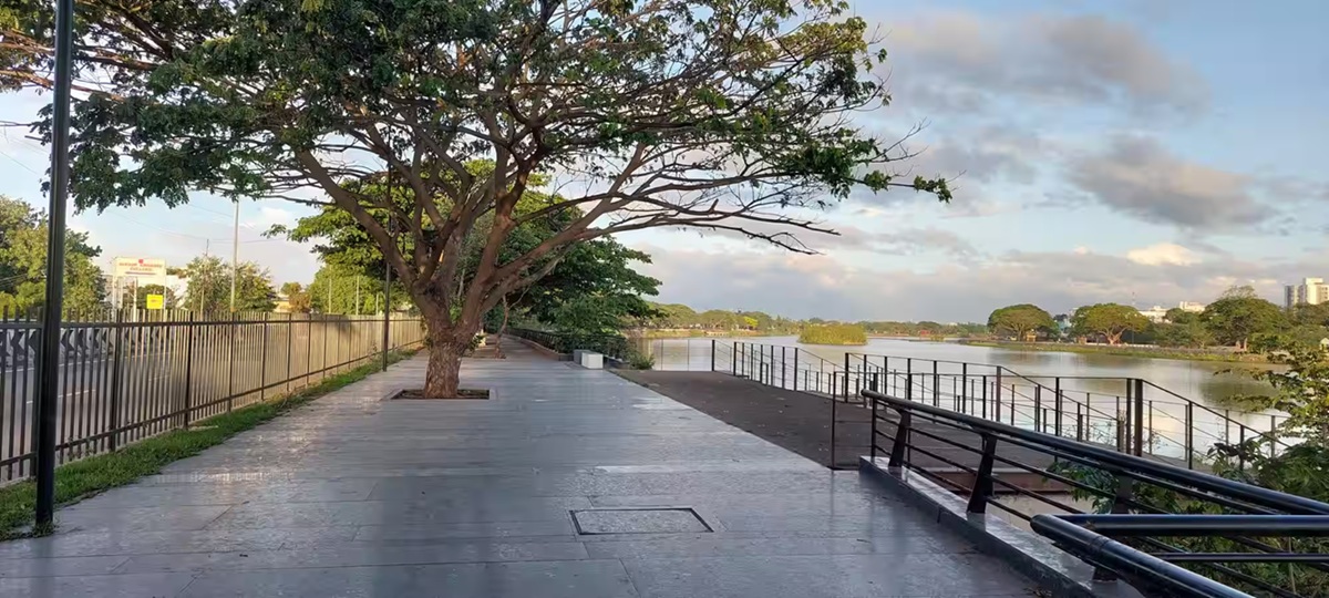 Pasar una tarde relajante en el Lago Singanallur
