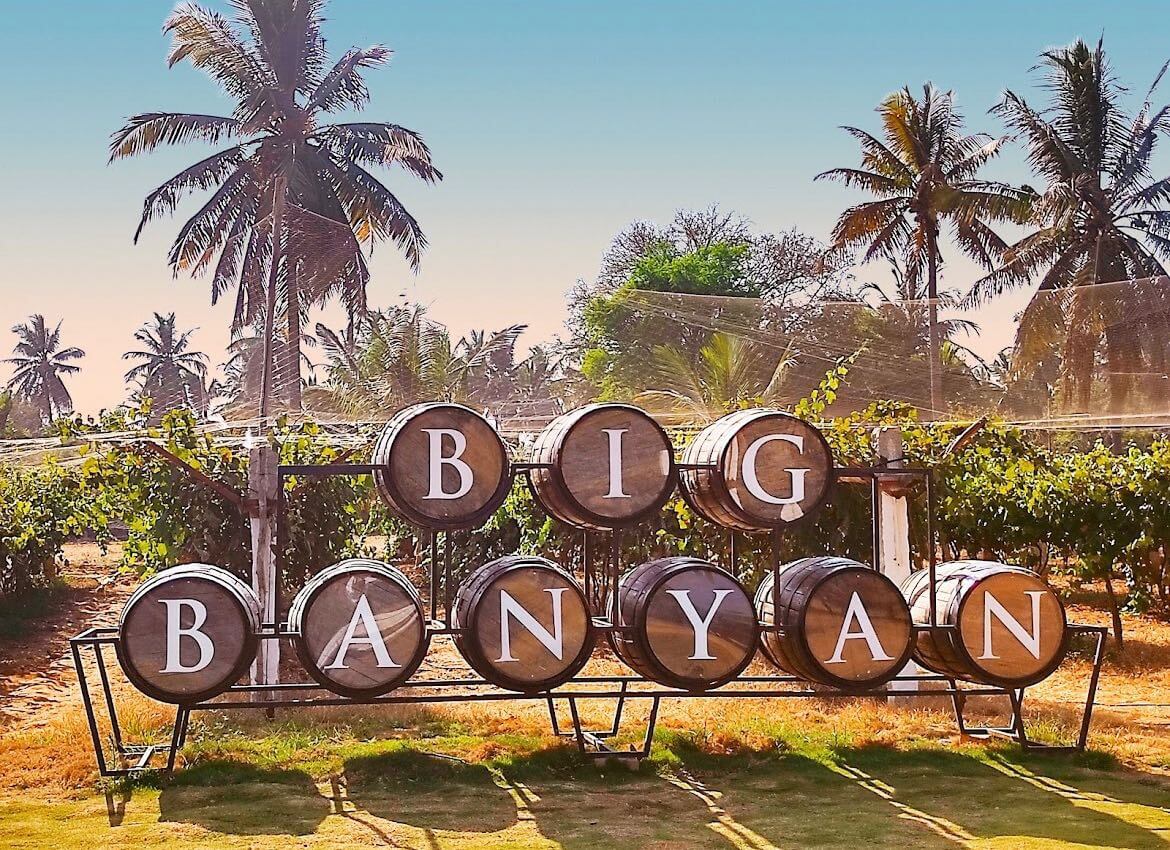 Big Banyan Viñedos Bangalore, Karnataka