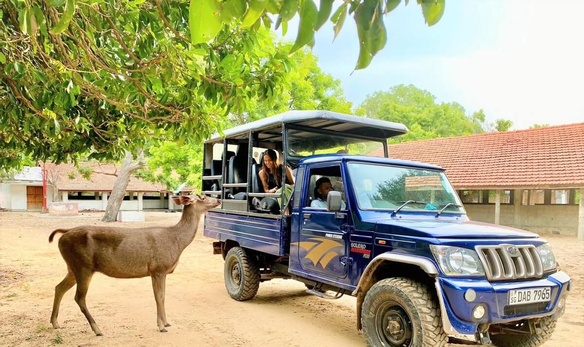 safari en el Parque Nacional Kumana