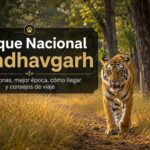 Parque Nacional Bandhavgarh