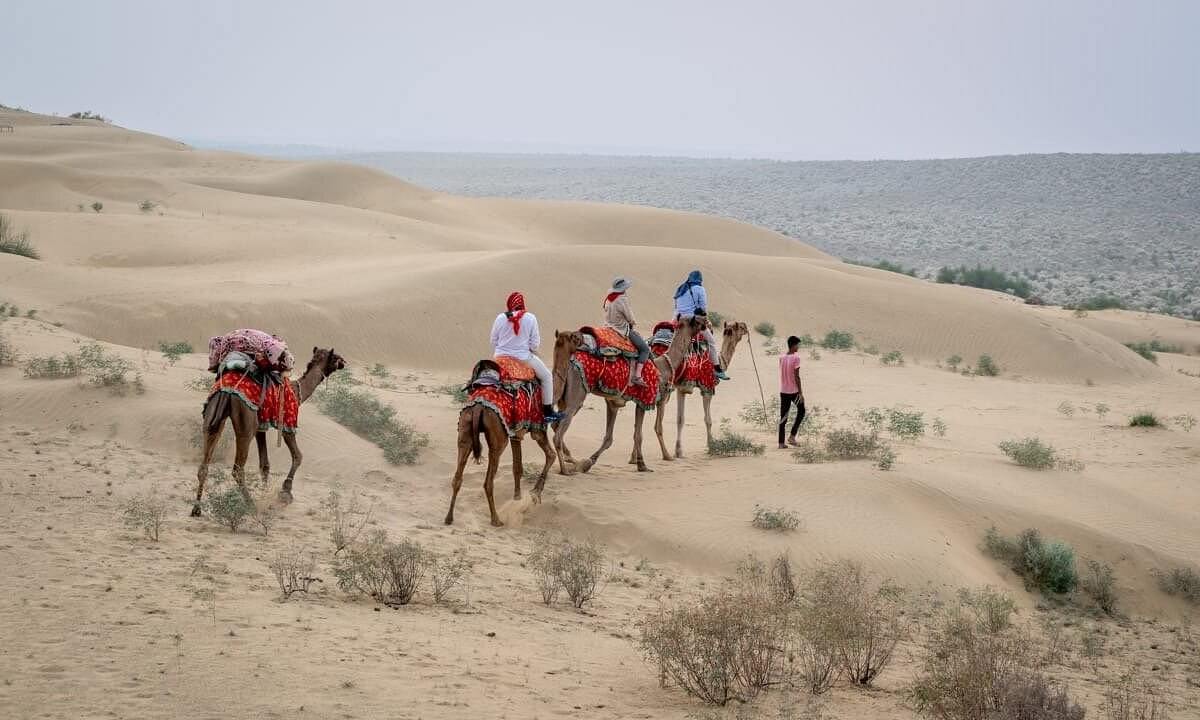 Safari en camello Jaisalmer