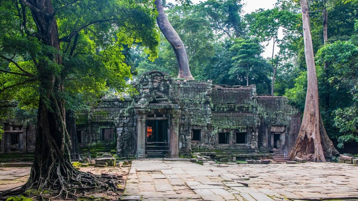 Ta Prohm Cambodia