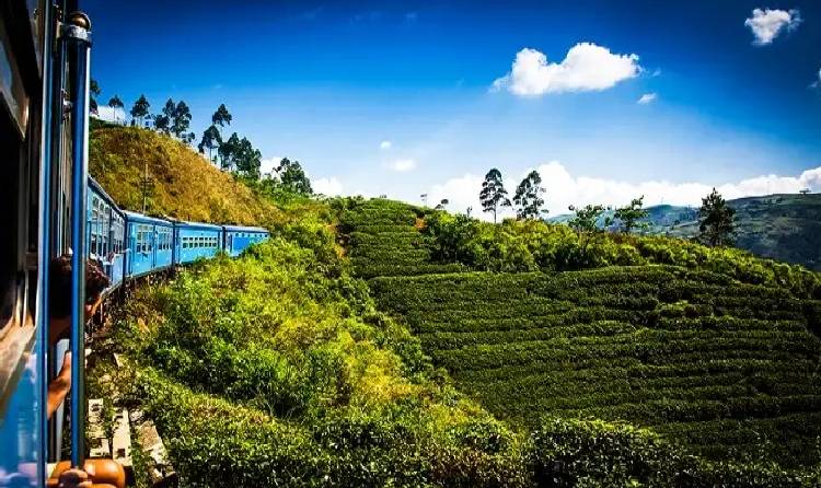 Nuwara Eliya