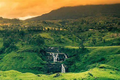 Tour de Naturaleza y Fauna