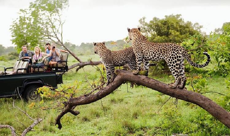 Yala National Park