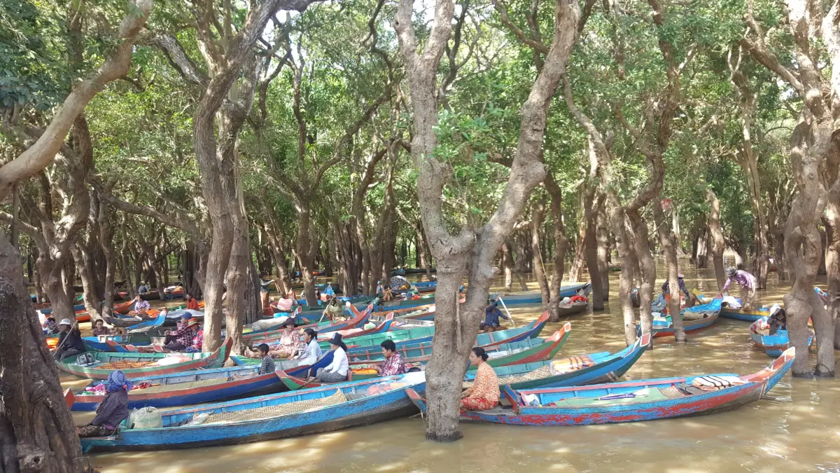 Tonle Sap y comunidades locales cerca de Siem Reap
