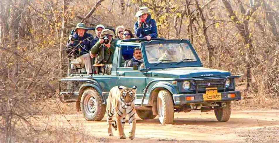 Bandhavgarh en este itinerario