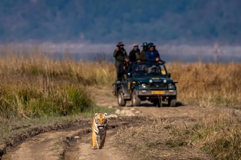 Corbett en este itinerario