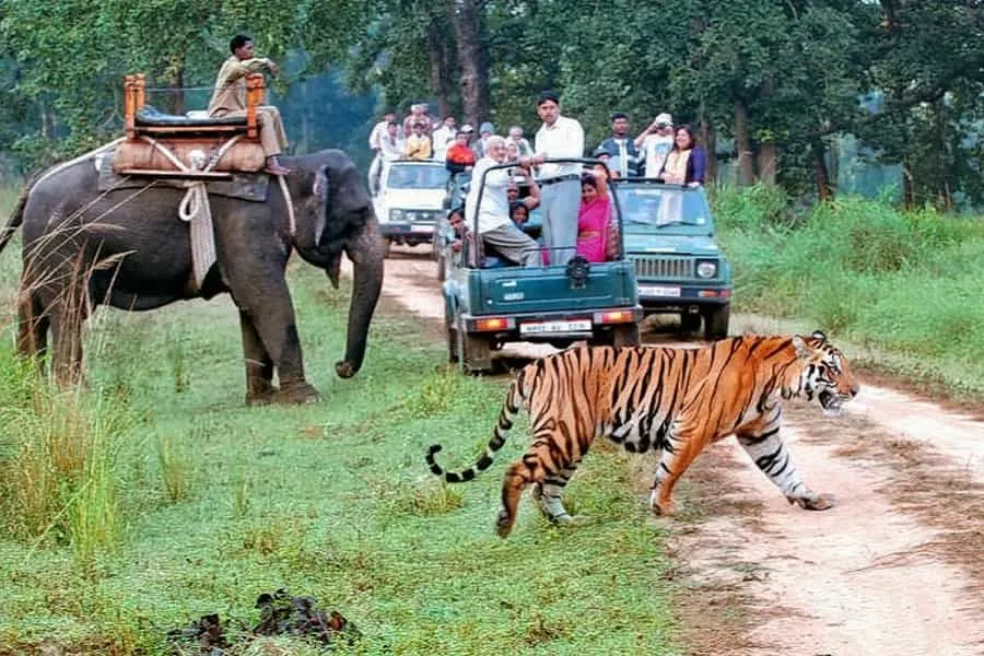 Naturaleza y vida silvestre en Corbett