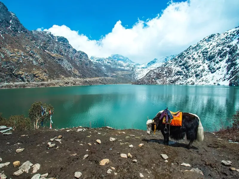 Monasterios y paisaje de Gangtok