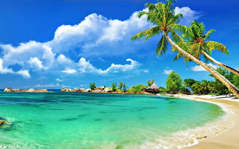 Viajes a Goa: playas y cultura
