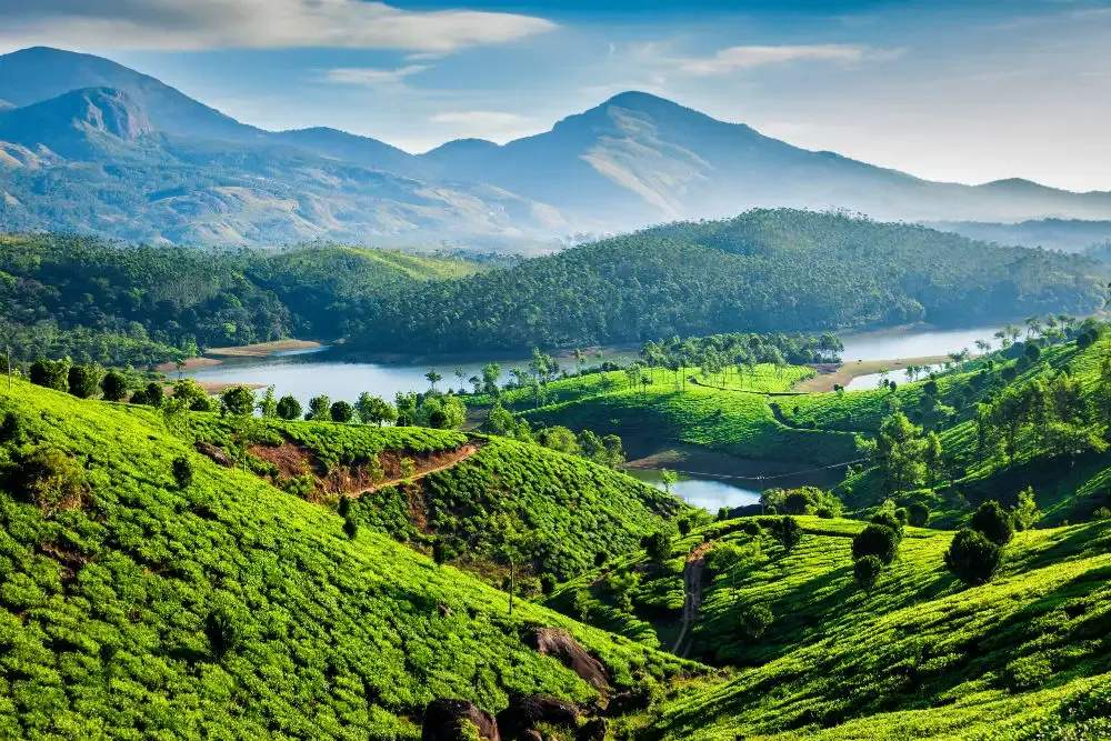 Viajes y retiros de Ayurveda en India