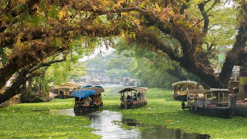 Kerala, una de las paradas de Tour de 7 días en Kerala: Naturaleza, cultura y aventura en el sur de India