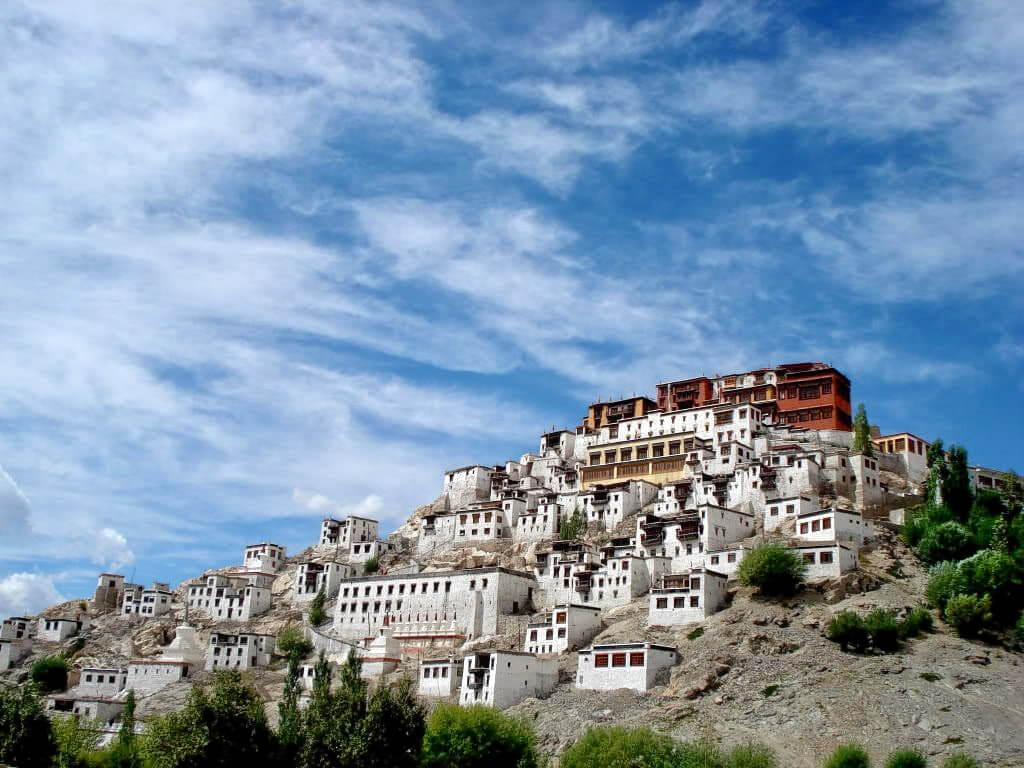 Expedición de vida silvestre en Ladakh