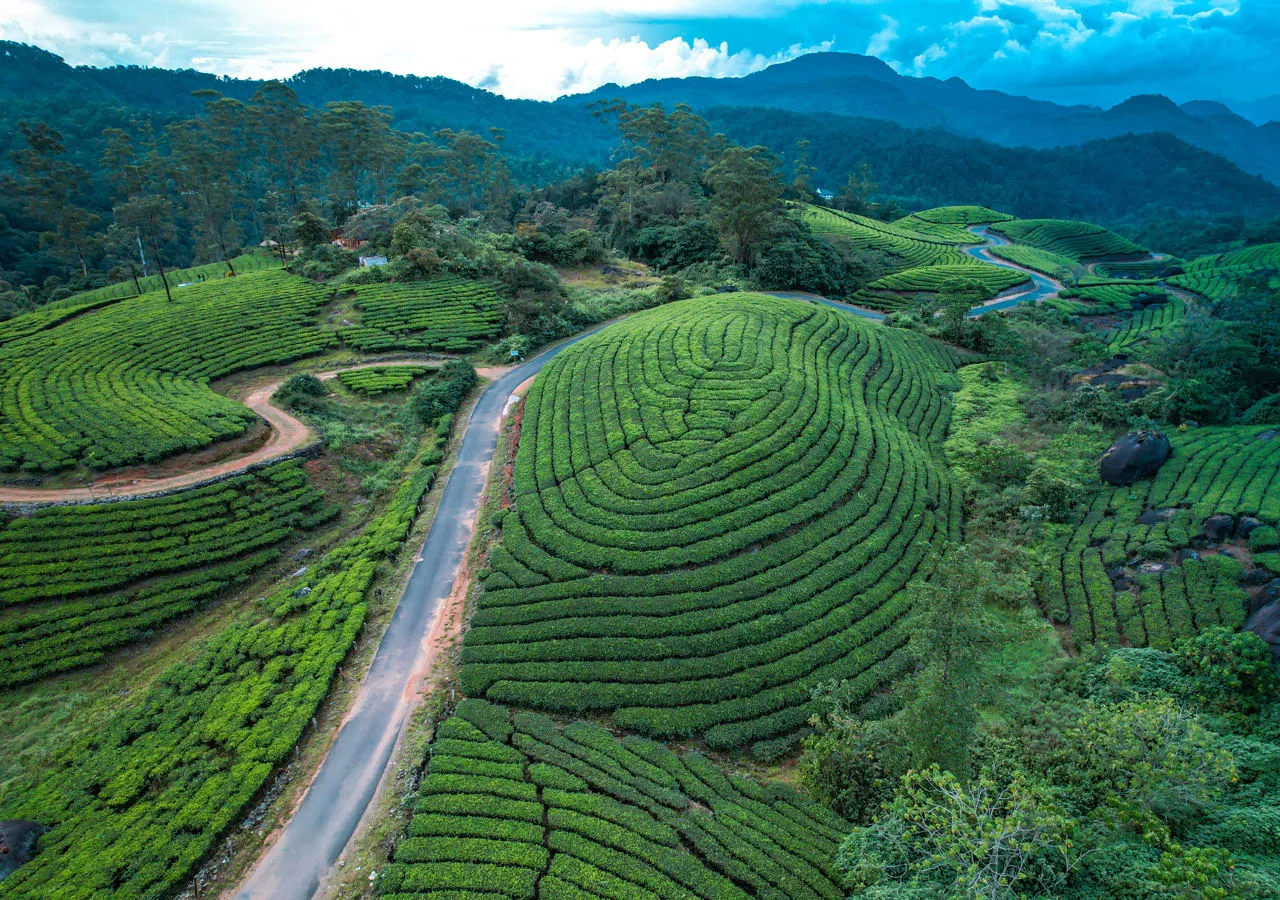 Munnar en este itinerario