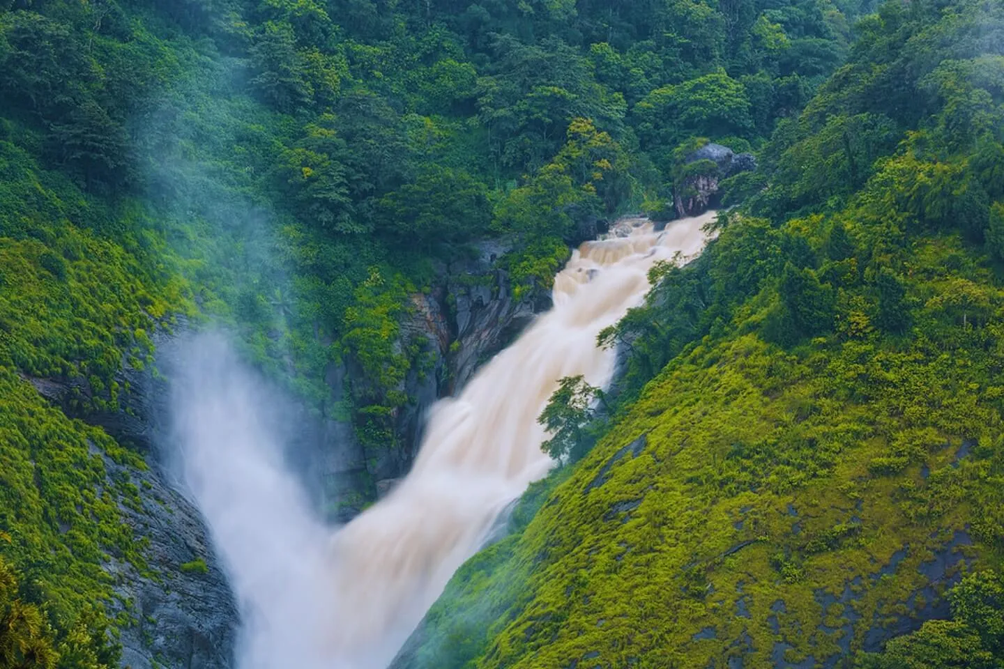 Paisajes verdes de Munnar