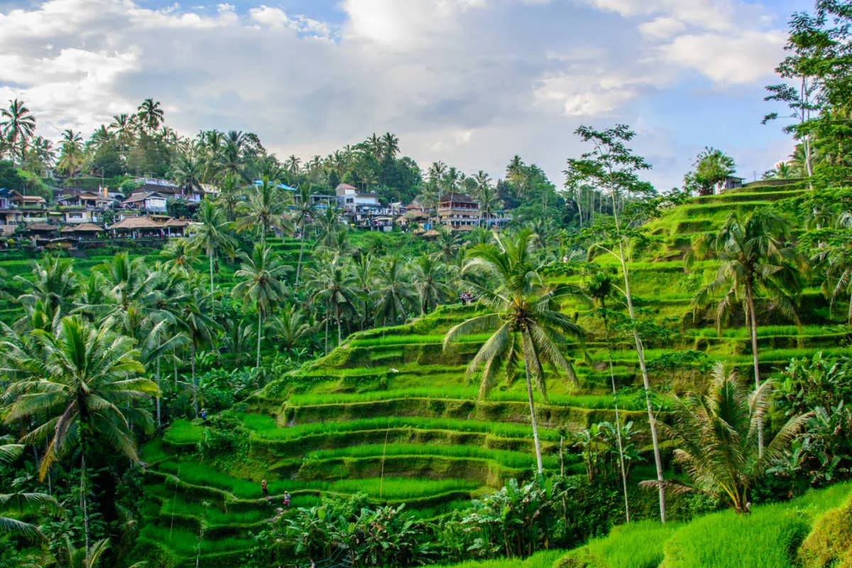 Llegada a Ubud después de viajar desde Java