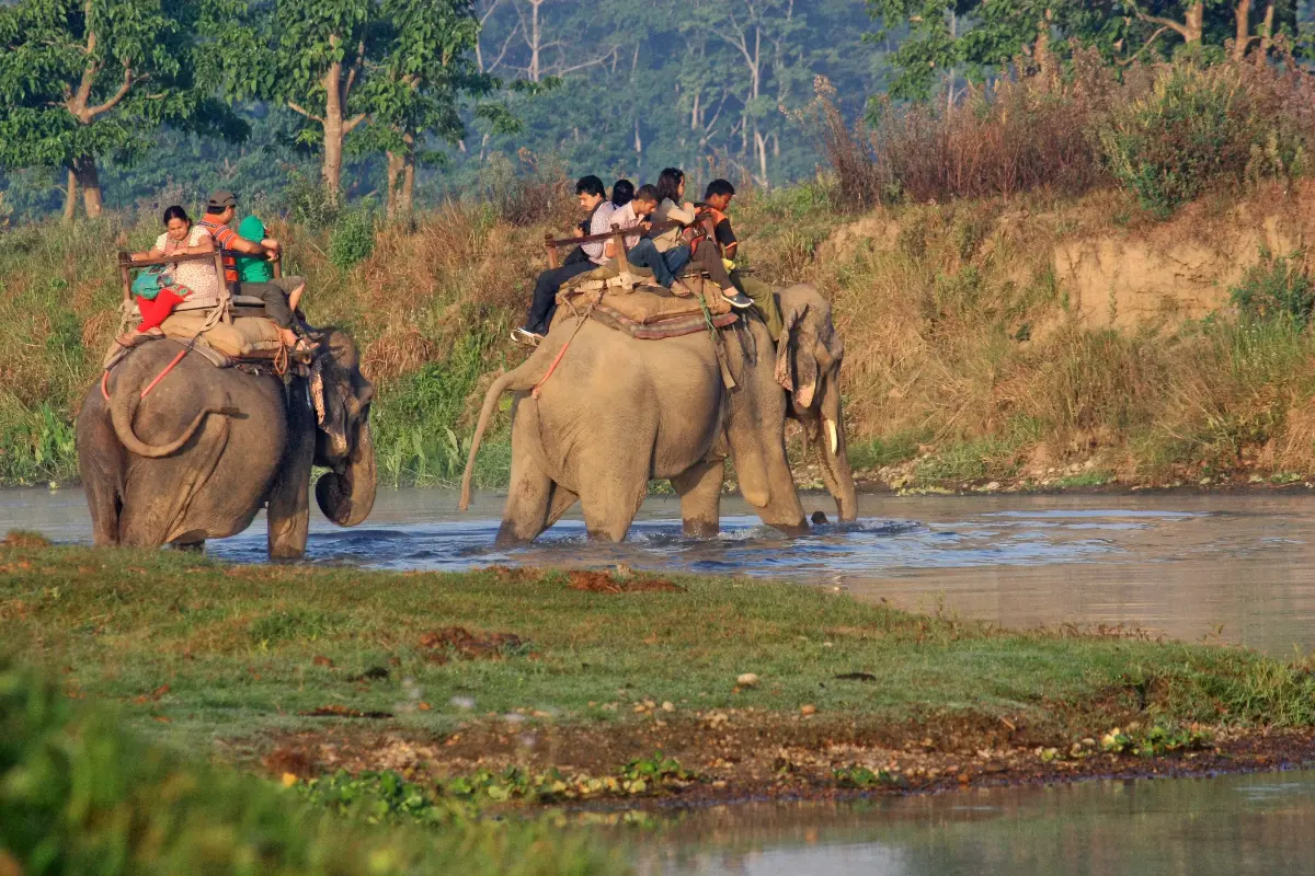 Llegada familiar a Chitwan para disfrutar de naturaleza y vida silvestre