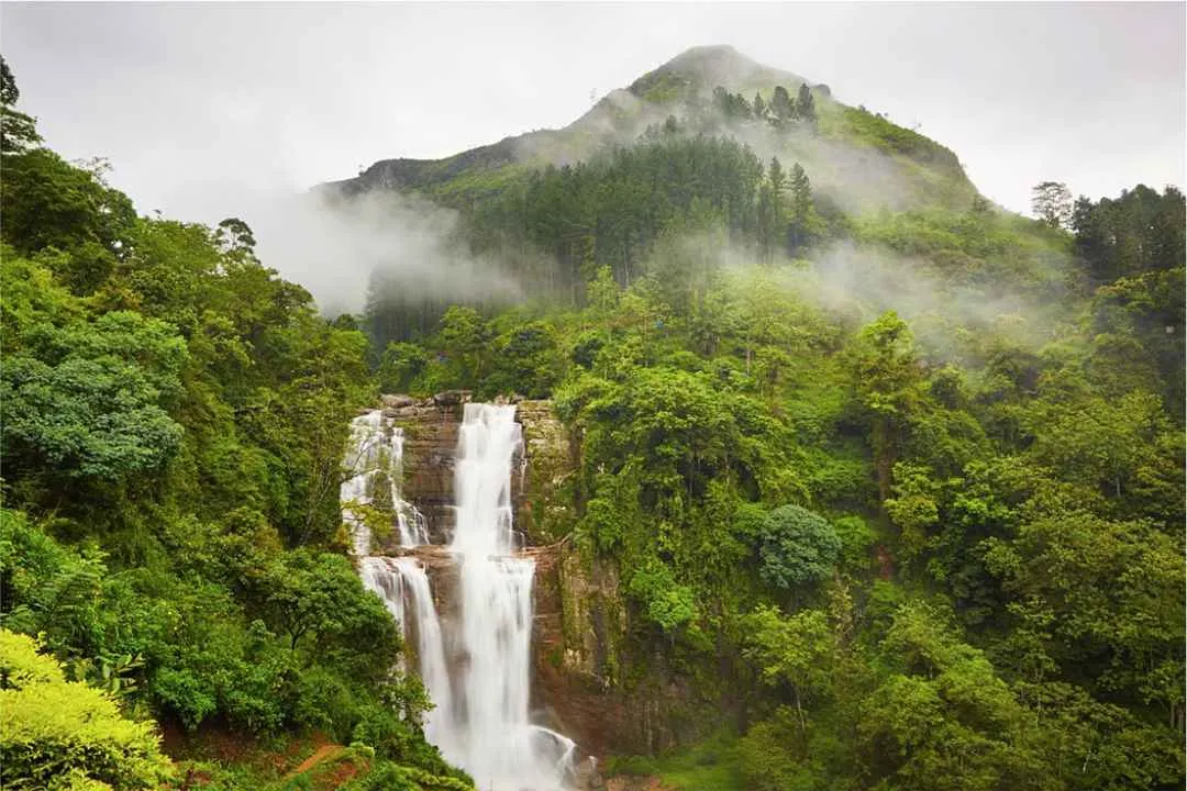 Plantaciones y montañas de Nuwara Eliya antes del viaje a Ella
