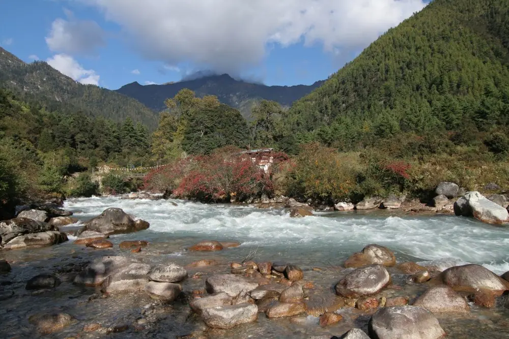 Jigme Dorji National Park