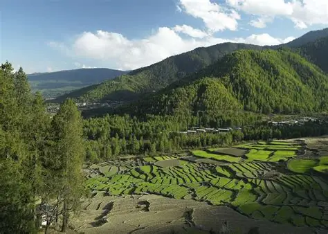 Tashithang Valley