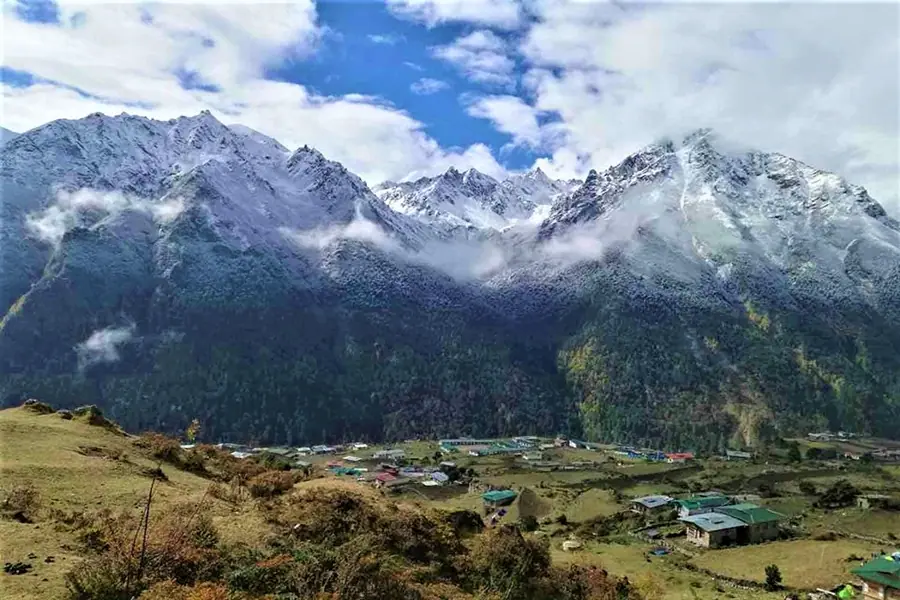 Laya Village