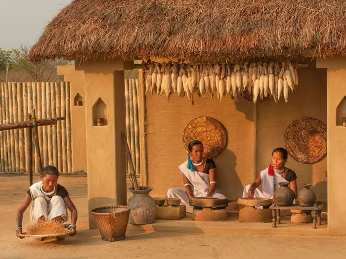 Tharu Villages Chitwan