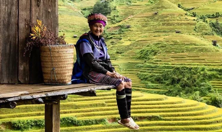 Paquete de 4 días por Ciudad Ho Chi Minh, túneles de Cu Chi y delta del Mekong